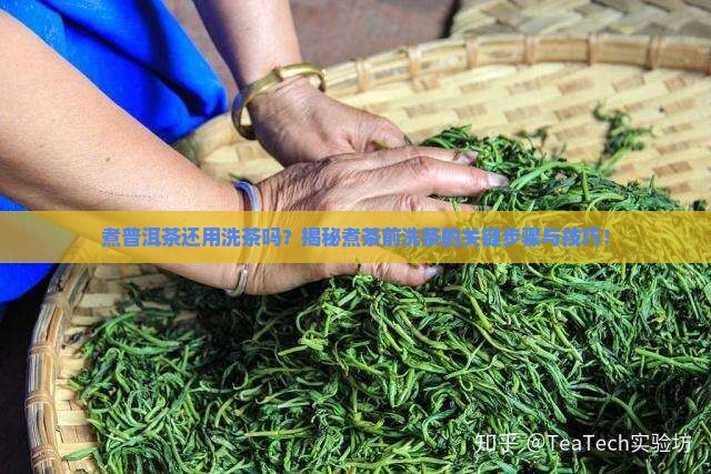 煮普洱茶还用洗茶吗
