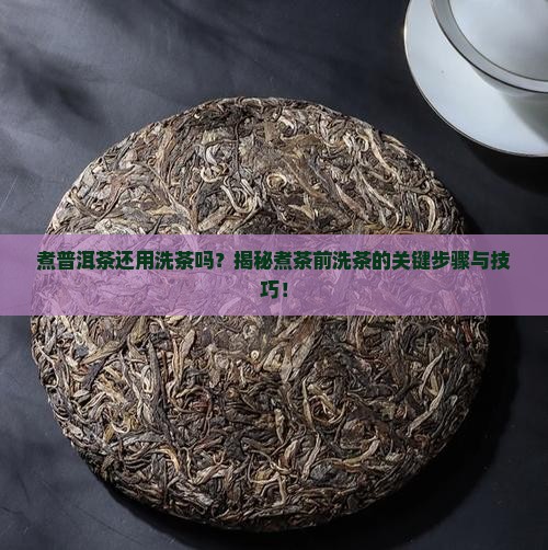 煮普洱茶还用洗茶吗
