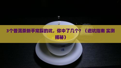 古树普洱茶生熟