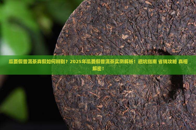 瓜蒌假普洱茶真假