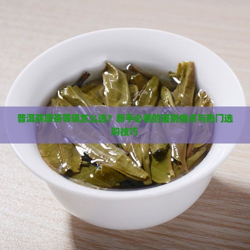 普洱茶原茶等级