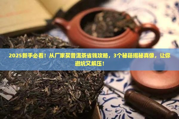 怎么从厂家买普洱茶