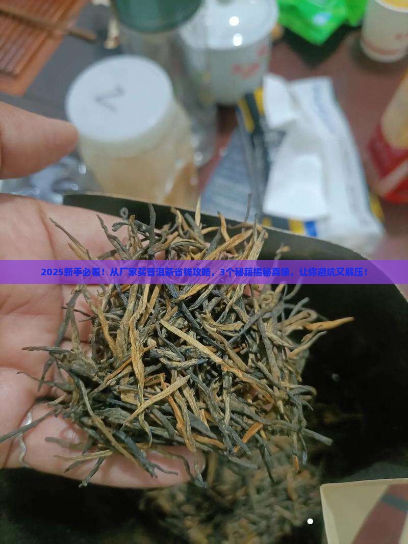 怎么从厂家买普洱茶