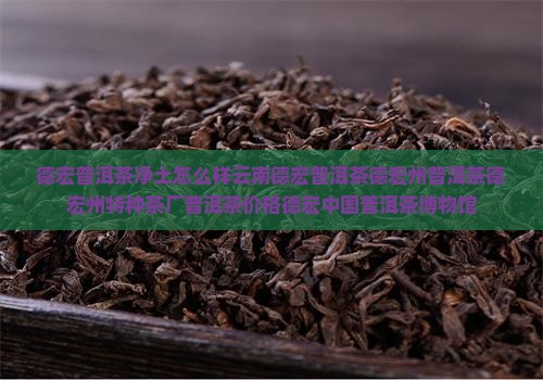 德宏普洱茶净土