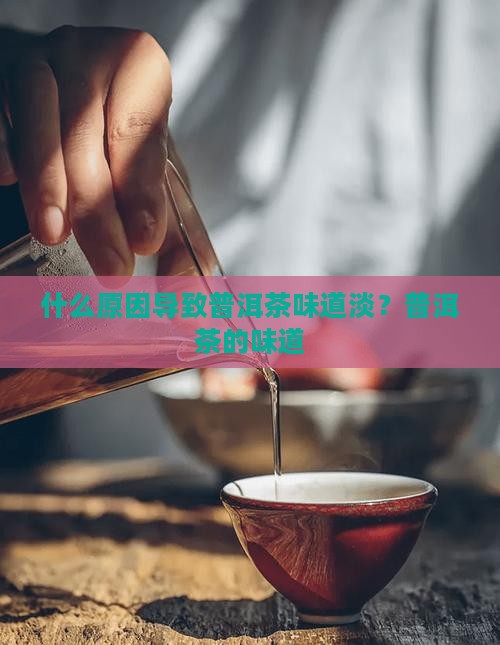 为什么头春普洱茶味道淡