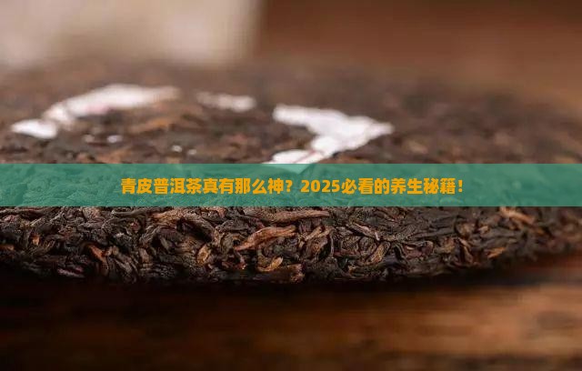 青皮普洱茶的功效与作用点