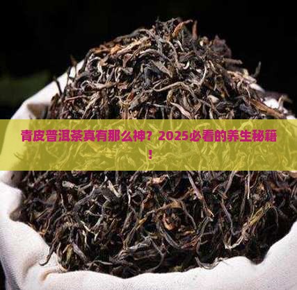 青皮普洱茶的功效与作用点