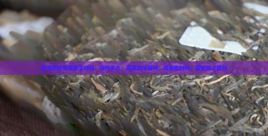 普洱茶保存需要洗吗吗