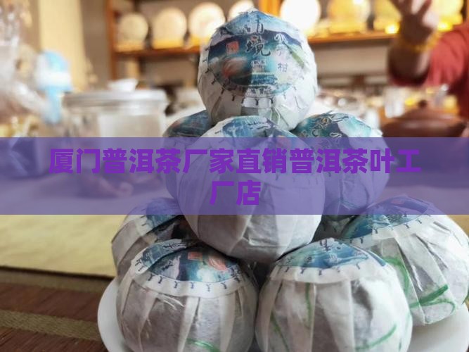 厦门熟普洱茶工厂店