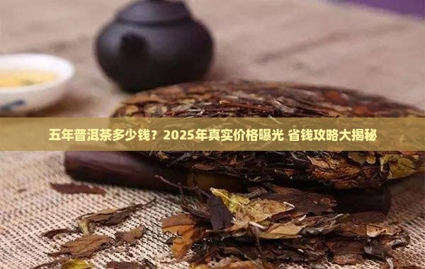 五年普洱茶多少钱 五年普洱茶多少钱