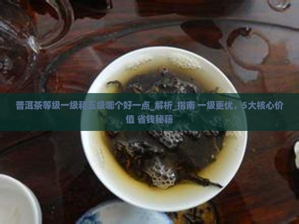 普洱茶等级一级和五级哪个好一点