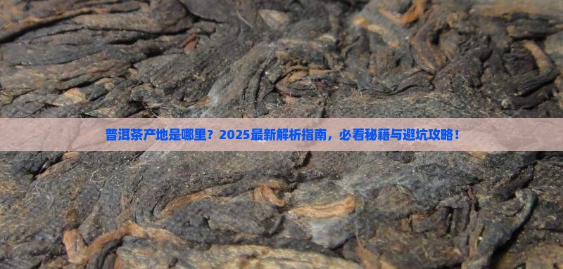 普洱茶产地是什么