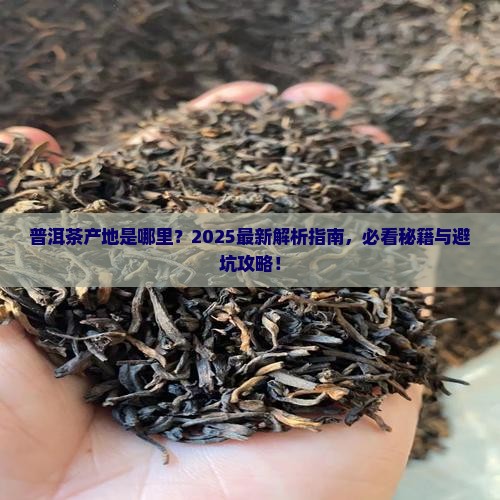 普洱茶产地是什么