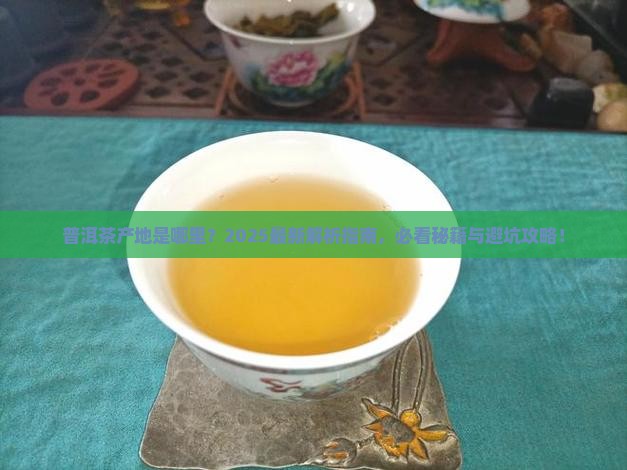 普洱茶产地是什么