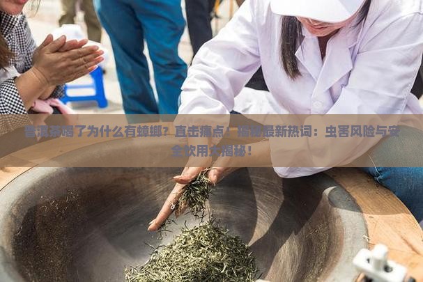 普洱茶喝了为什么有蟑螂