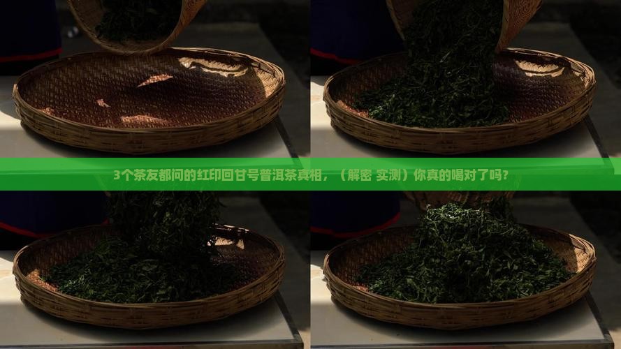 红印回甘号普洱茶