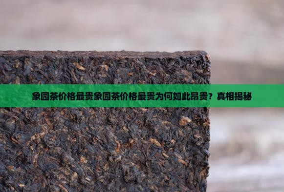 象园茶价格最贵