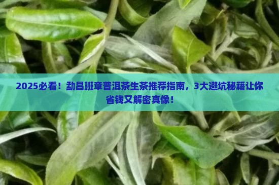 勐昌班章普洱茶生茶推荐