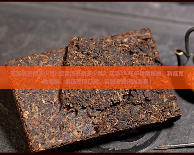 泡普洱茶用多少克