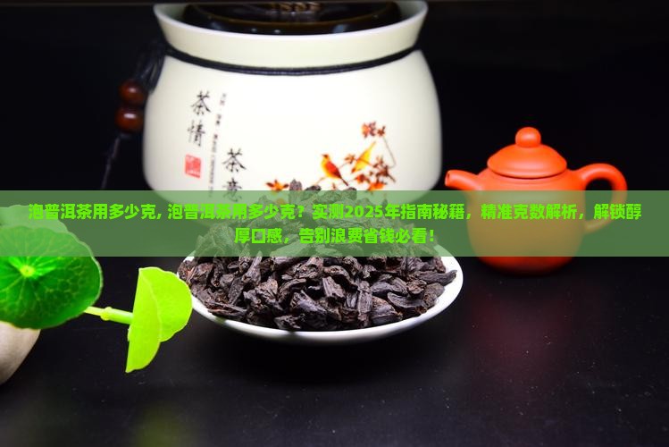 泡普洱茶用多少克
