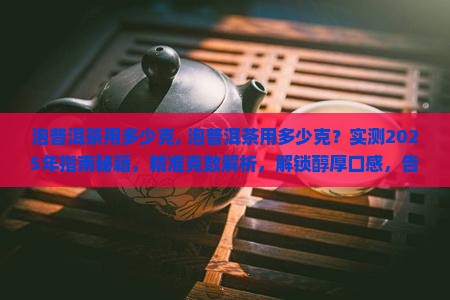 泡普洱茶用多少克