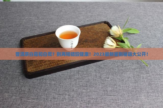 普洱茶白霜和白霉