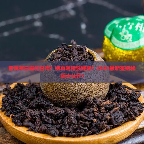 普洱茶白霜和白霉