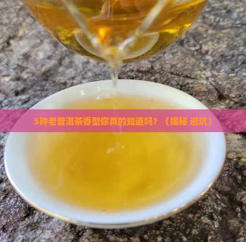 老普洱茶有几种香型