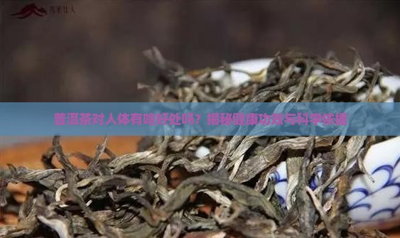 普洱茶对人体有啥好处吗