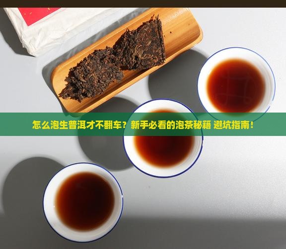 怎么样泡生普洱茶才好喝