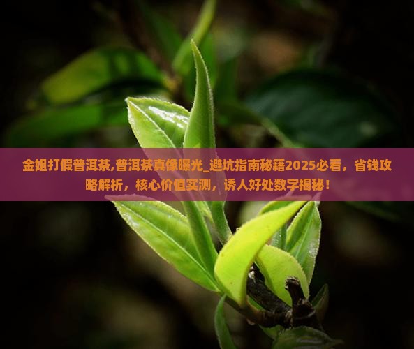 金姐打假普洱茶
