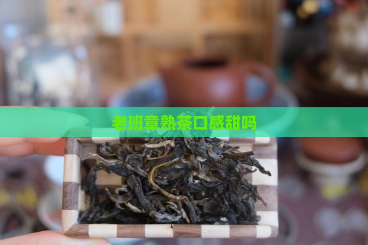 老班章熟茶口感甜吗