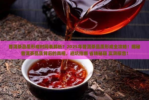 普洱茶品质形成时间表