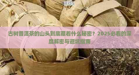古树普洱茶的山头