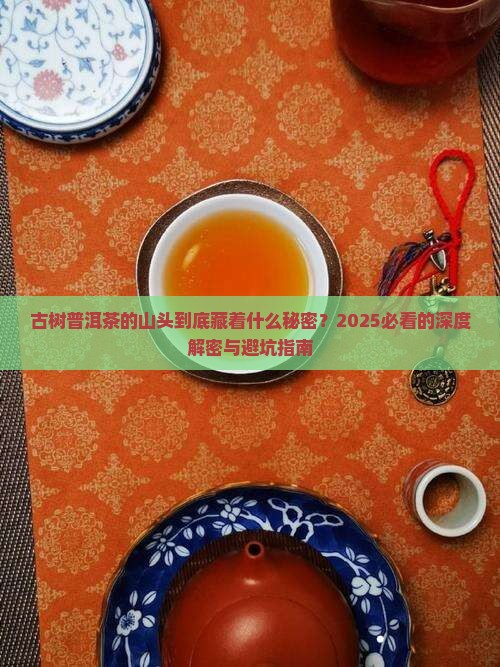 古树普洱茶的山头