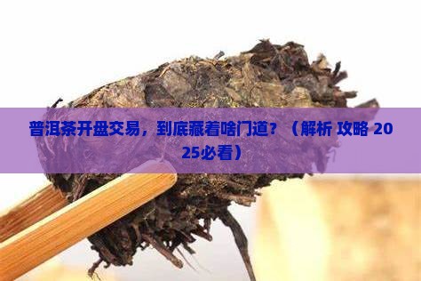 普洱茶开盘交易什么意思