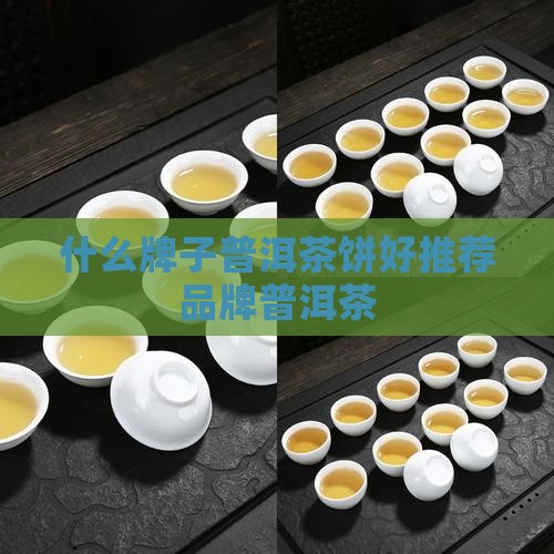 什么牌子普洱茶饼好