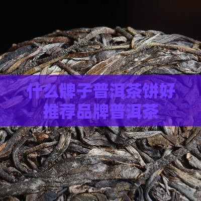 什么牌子普洱茶饼好