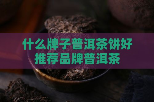 什么牌子普洱茶饼好