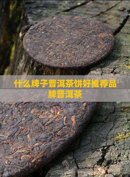 什么牌子普洱茶饼好