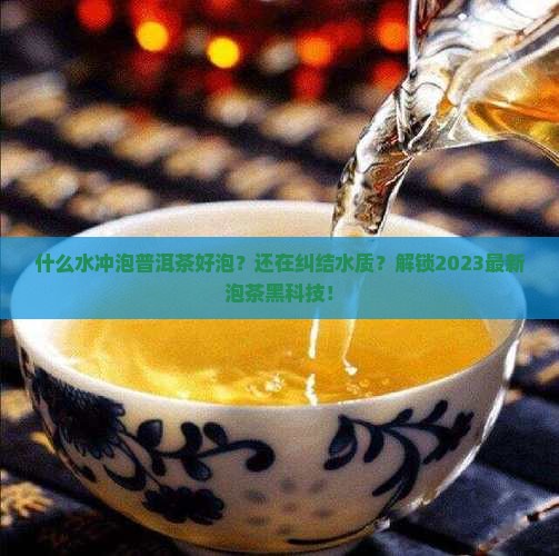 什么水冲泡普洱茶好泡