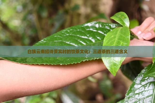 三道茶是哪三道三道茶的含义