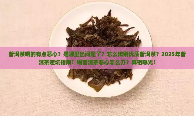 普洱茶喝的有点恶心
