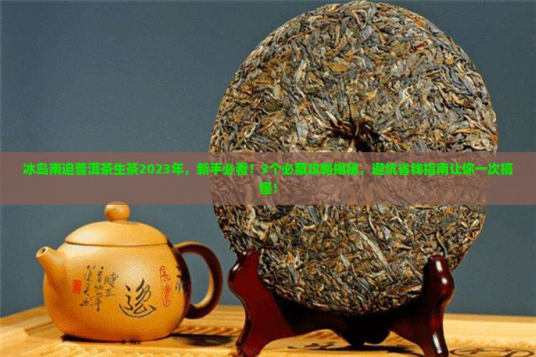 冰岛南迫普洱茶生茶2023年