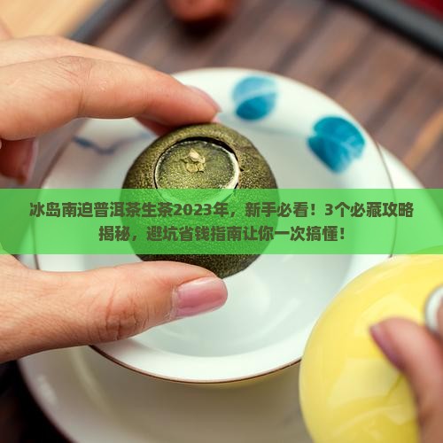 冰岛南迫普洱茶生茶2023年