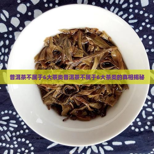 普洱茶不属于6大茶类