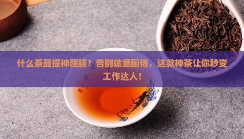 什么茶最提神醒脑