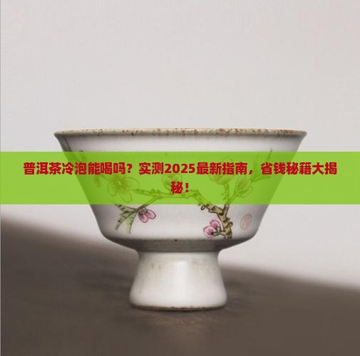 普洱茶可不可以冷泡喝