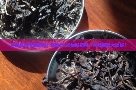 普洱茶可不可以冷泡喝