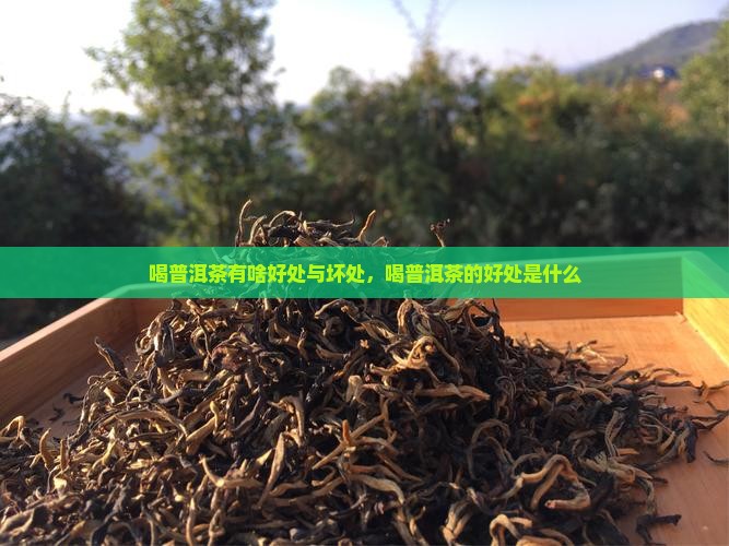 喝普洱茶有啥好处与坏处